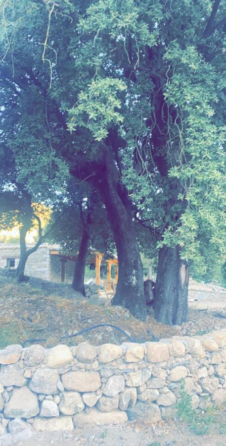 منزل الضيف Omessa  في La Bergerie Du Chene المظهر الخارجي الصورة