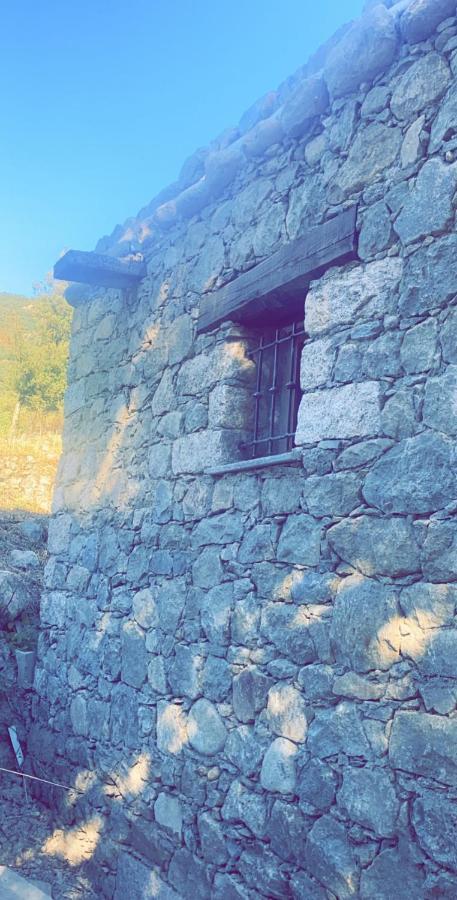 منزل الضيف Omessa  في La Bergerie Du Chene المظهر الخارجي الصورة